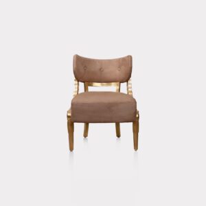 Designer Vetrina Arm Chair